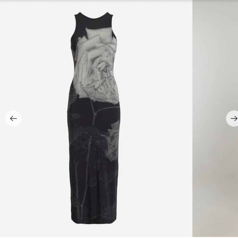Paloma Wool Rose Printed Maxi Dress